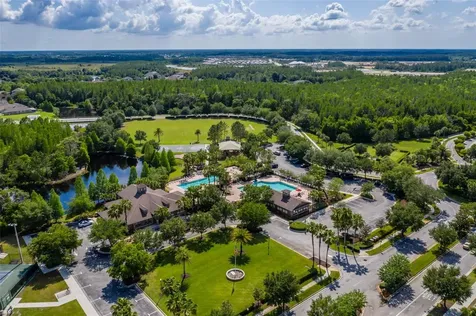 4950 Diamonds Palm Wesley Chapel FL 33543