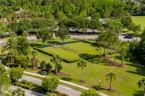 4950 Diamonds Palm Wesley Chapel FL 33543