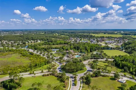 4950 Diamonds Palm Wesley Chapel FL 33543