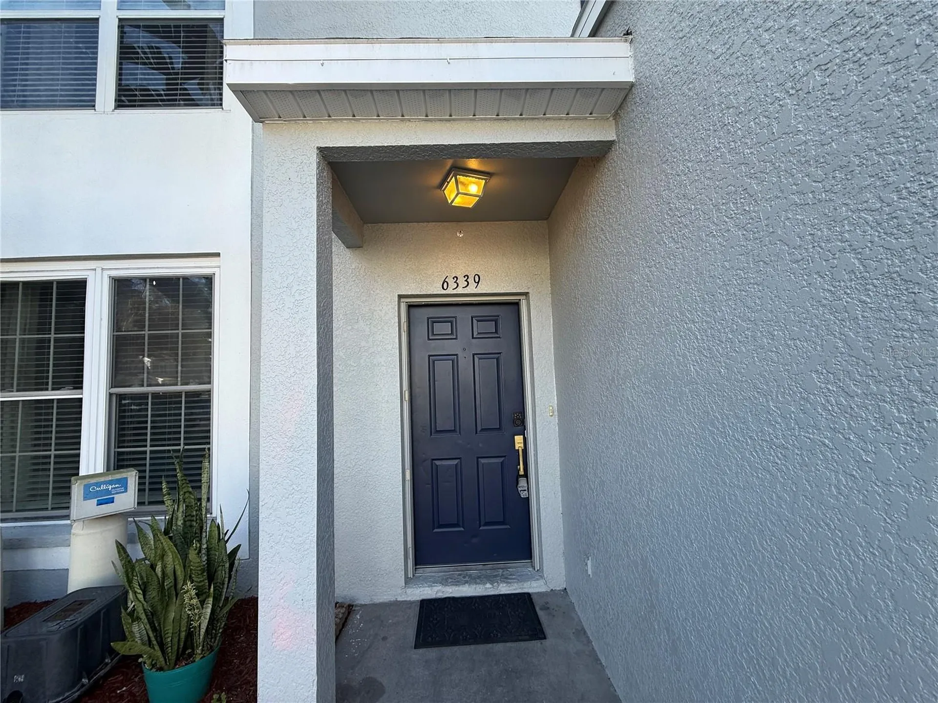 6339 Osprey Lake Circle Riverview FL 33578