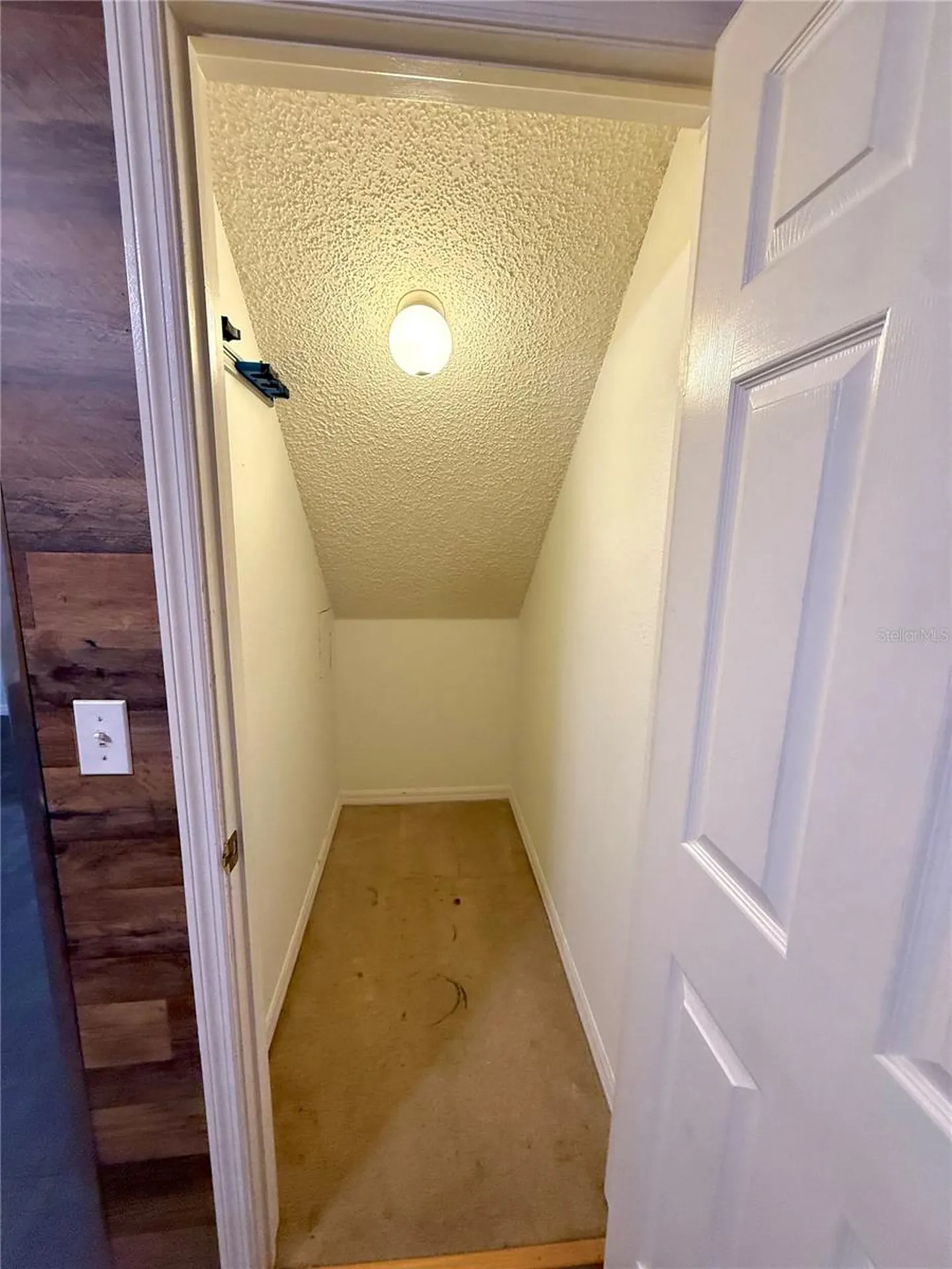 6339 Osprey Lake Circle Riverview FL 33578