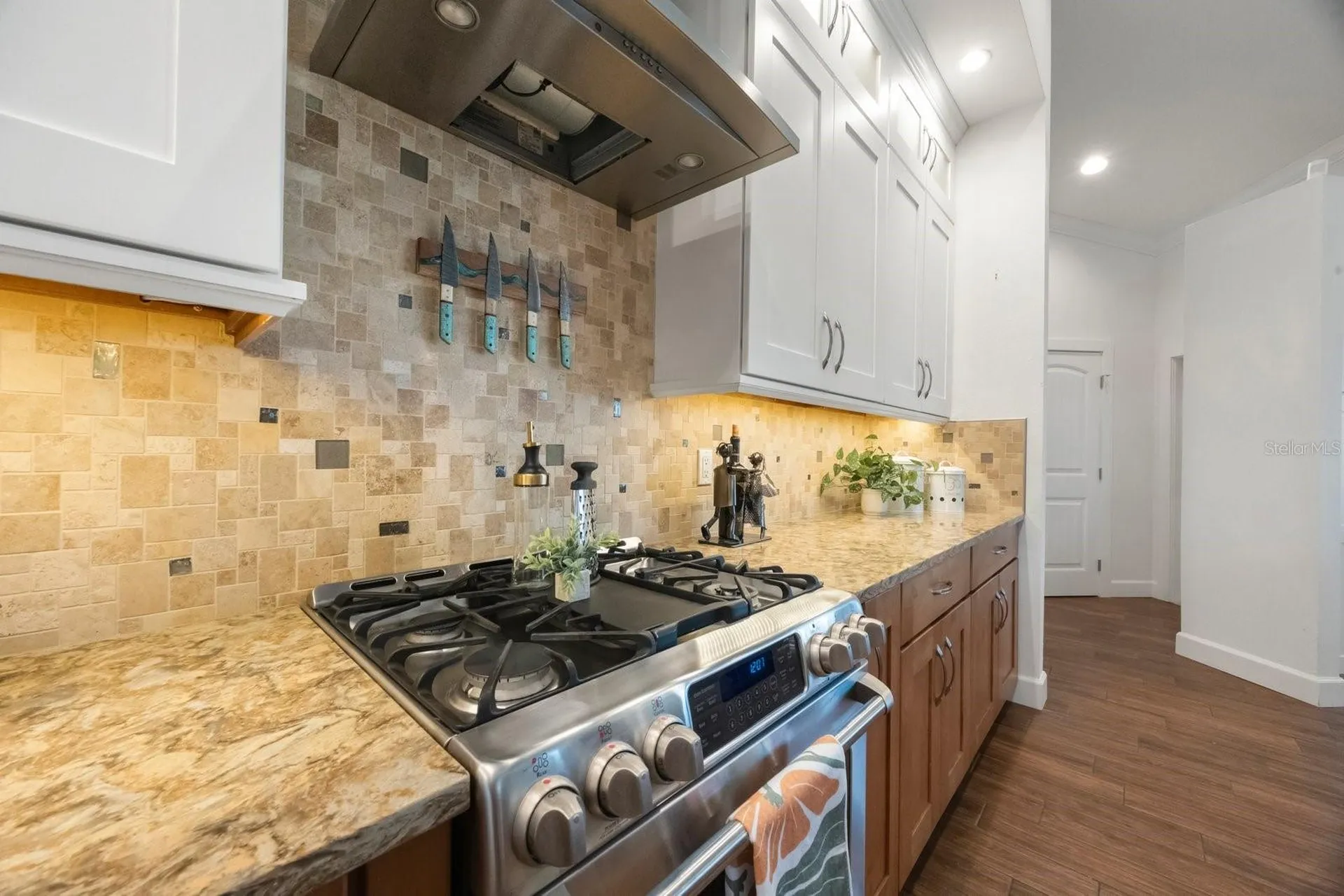 826 Christina Circle Oldsmar FL 34677