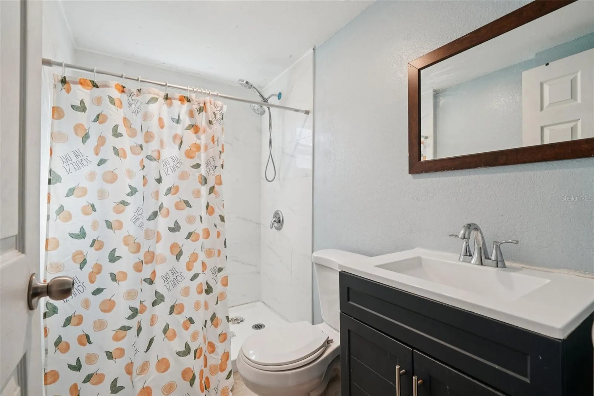 2432 NW 2nd Street Ocala FL 34475
