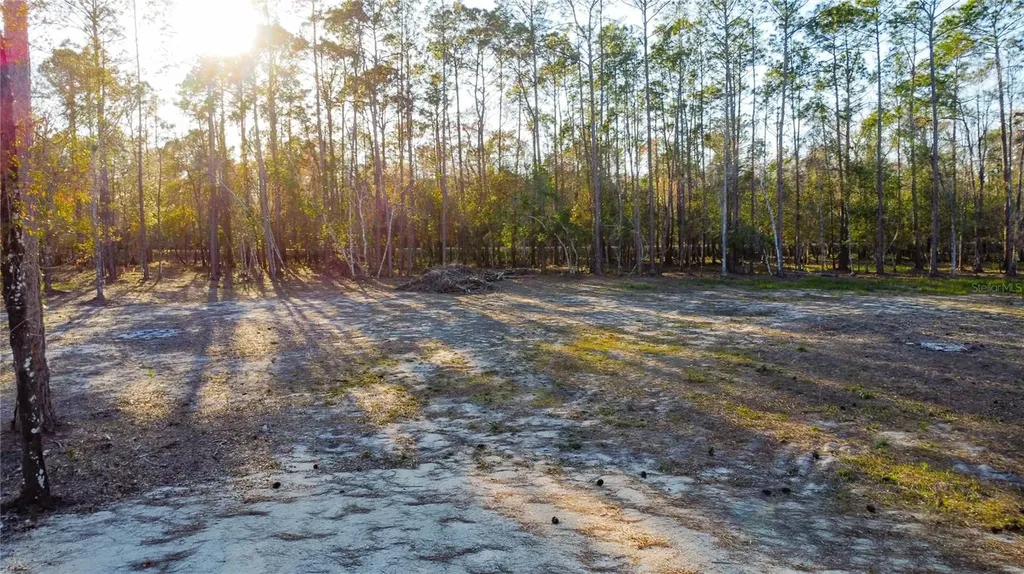 0 State Road 33 Clermont FL 34714