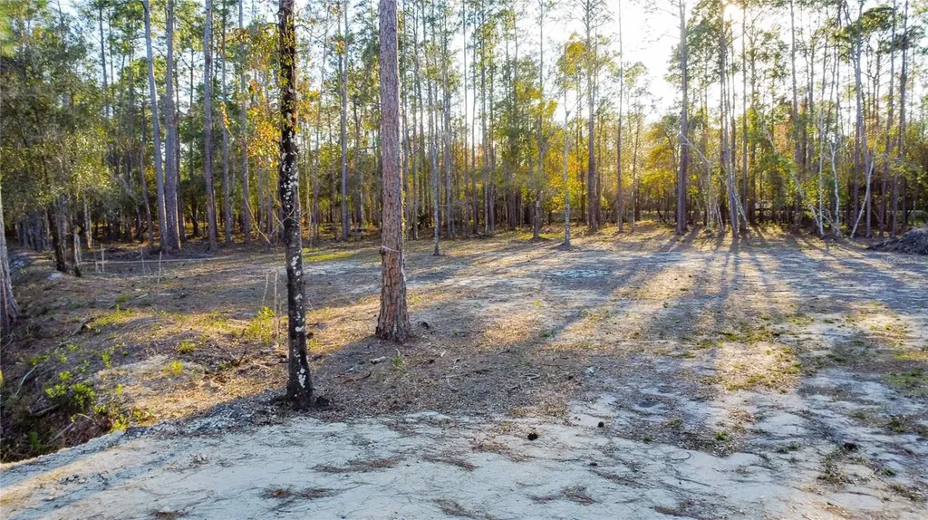 0 State Road 33 Clermont FL 34714