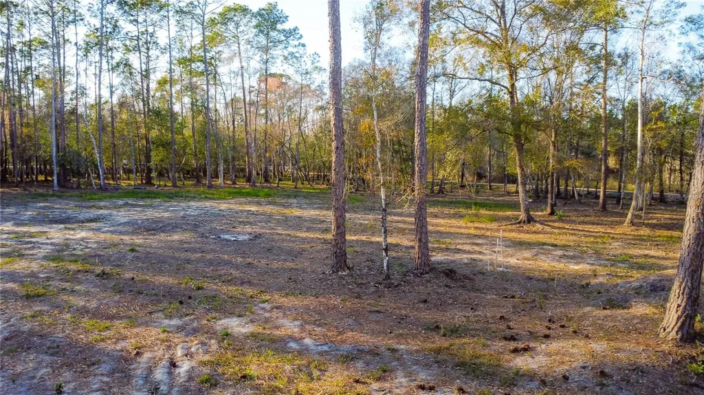 0 State Road 33 Clermont FL 34714