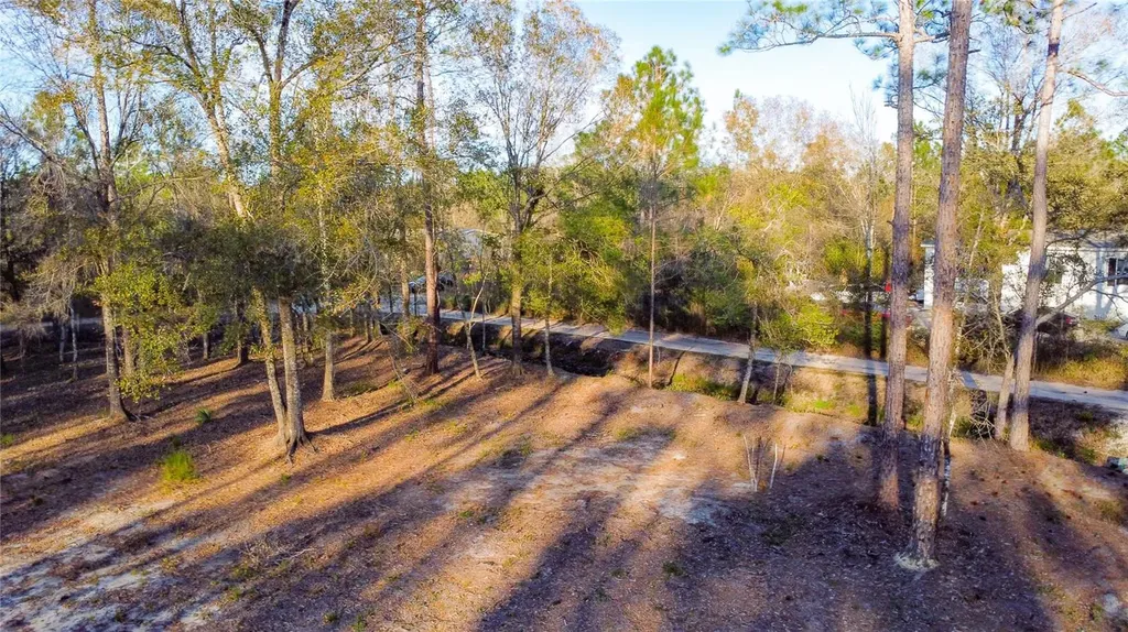 0 State Road 33 Clermont FL 34714