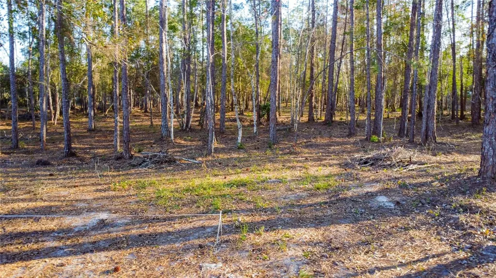 0 State Road 33 Clermont FL 34714