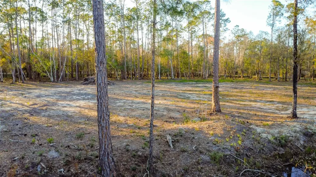 0 State Road 33 Clermont FL 34714