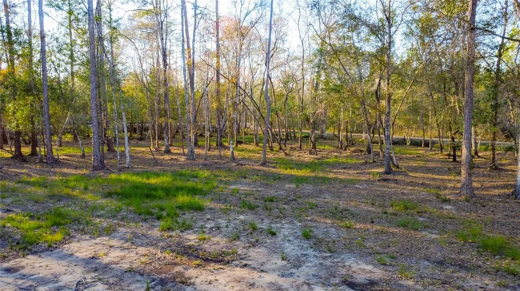 0 State Road 33 Clermont FL 34714