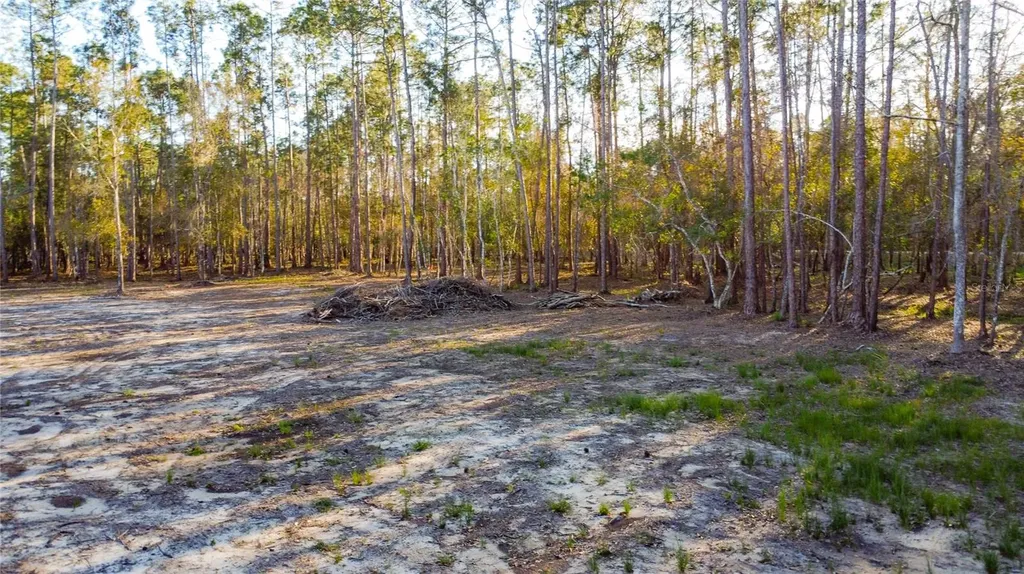 0 State Road 33 Clermont FL 34714