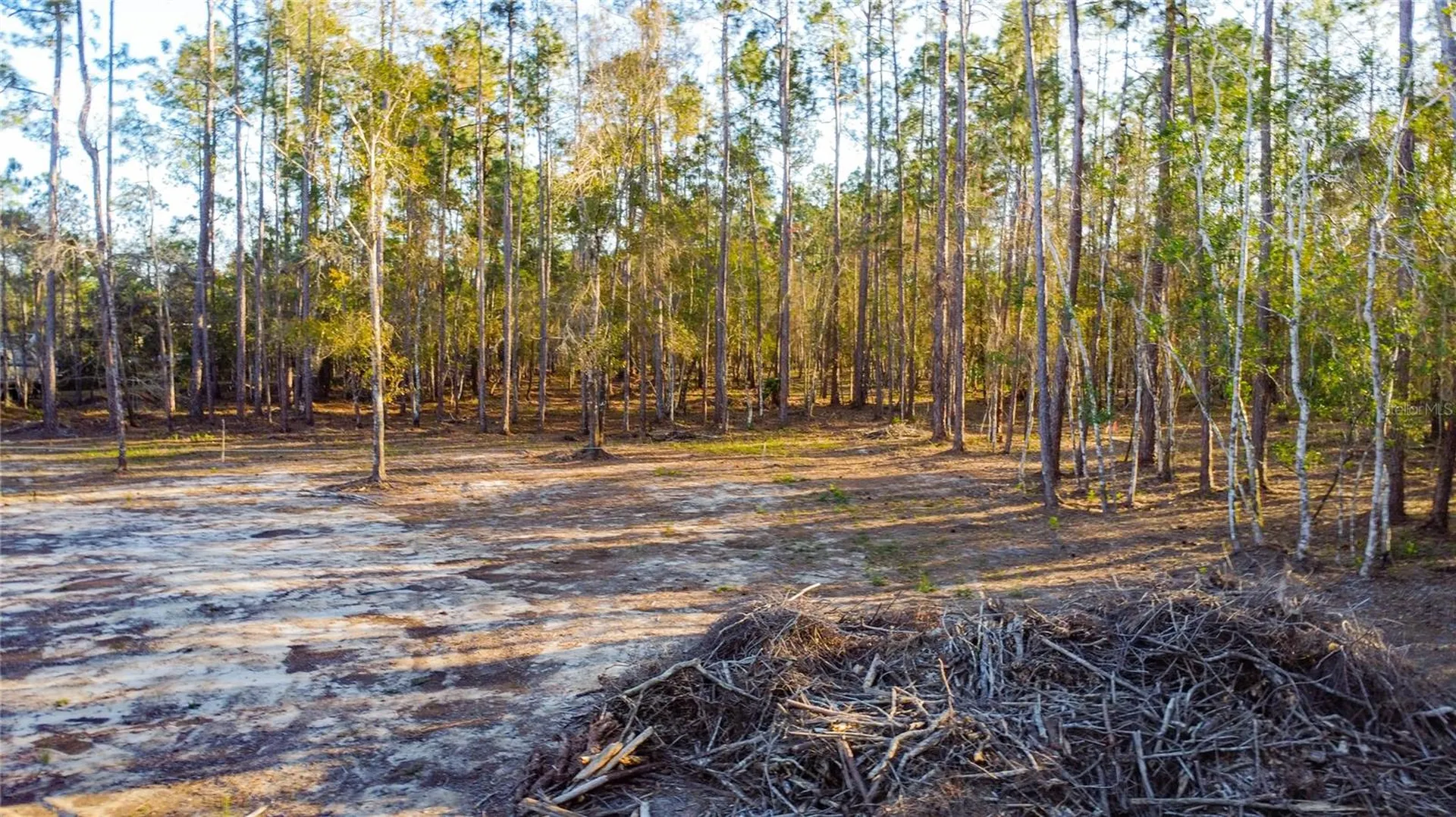 0 State Road 33 Clermont FL 34714