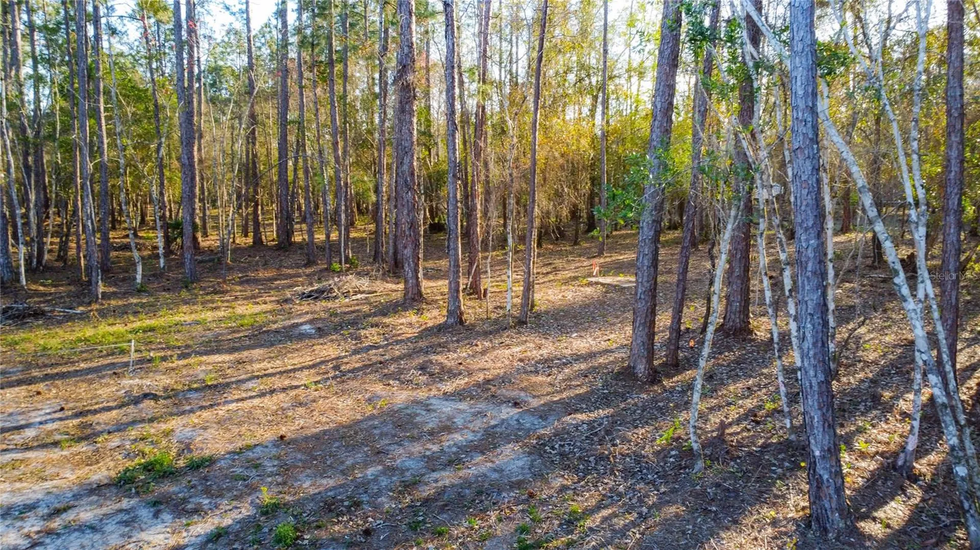 0 State Road 33 Clermont FL 34714
