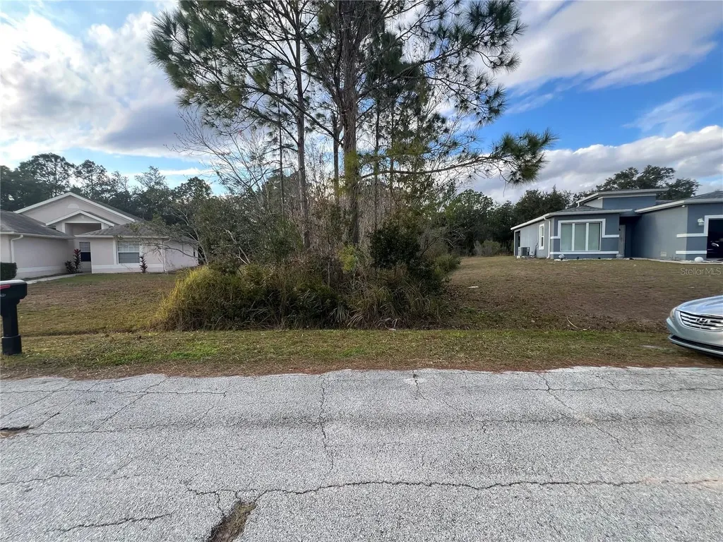 1425 Teal Drive Kissimmee FL 34759