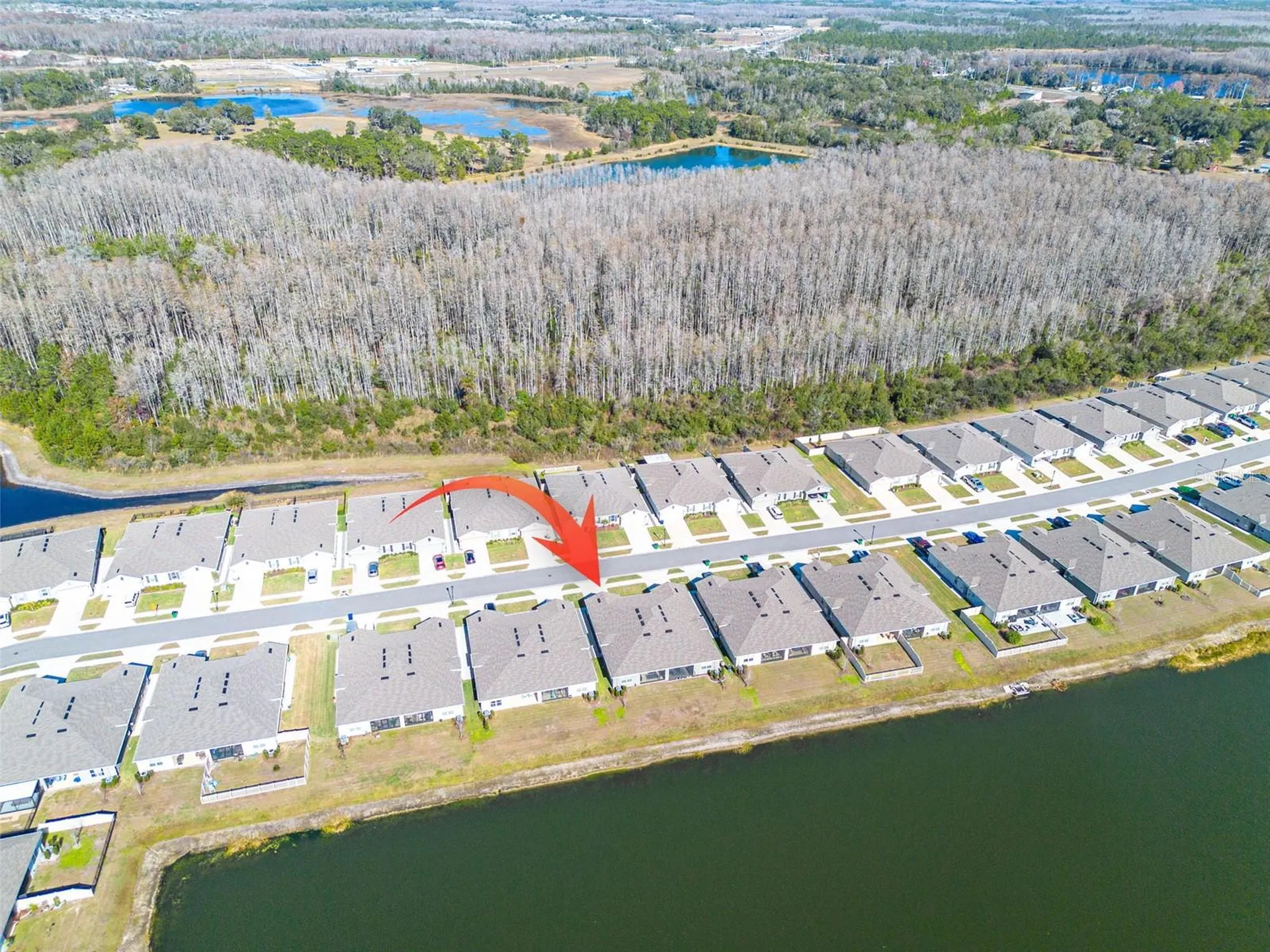 18158 Turning Leaf Circle Land O Lakes FL 34638