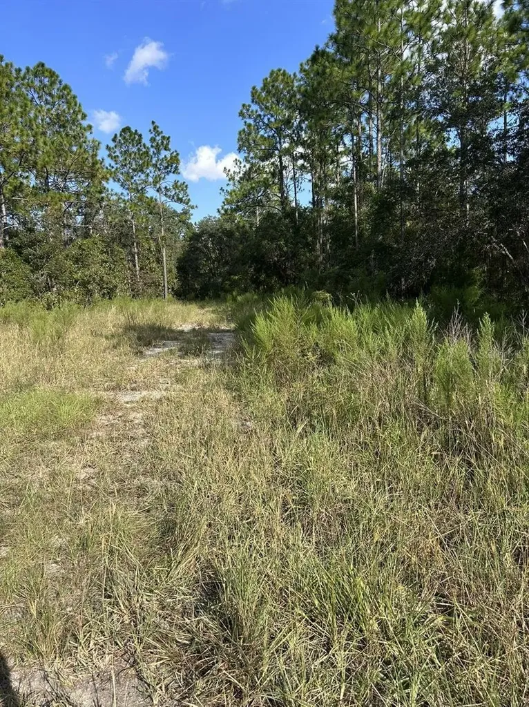 103 Lee Drive Hawthorne FL 32640