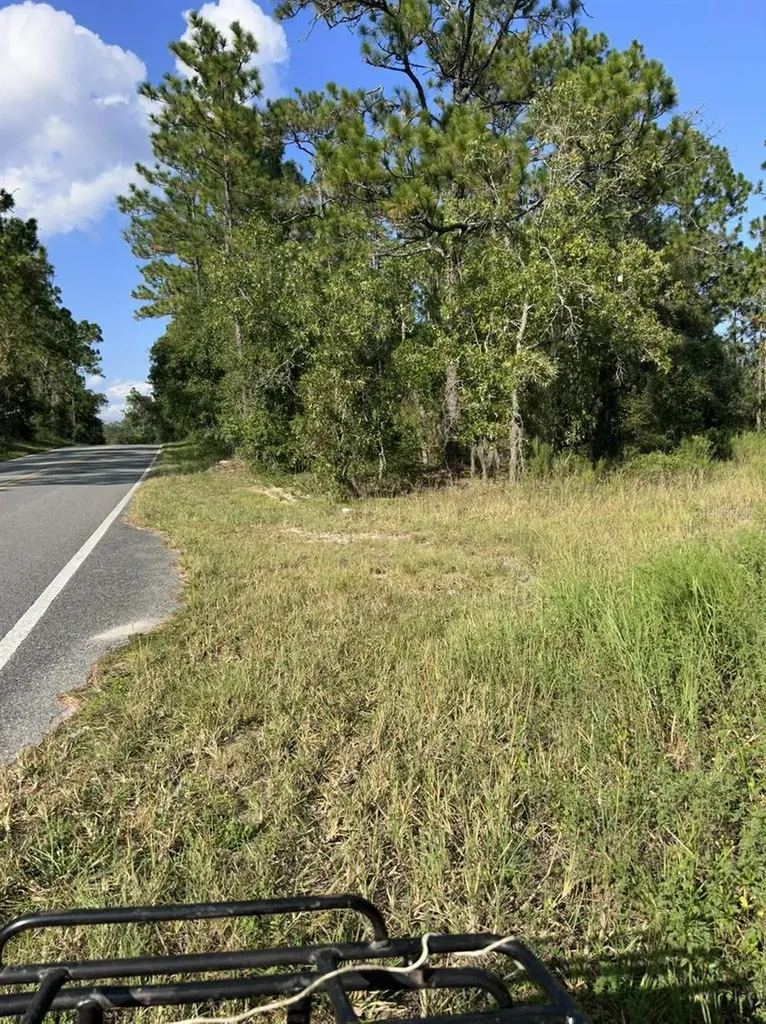 103 Lee Drive Hawthorne FL 32640