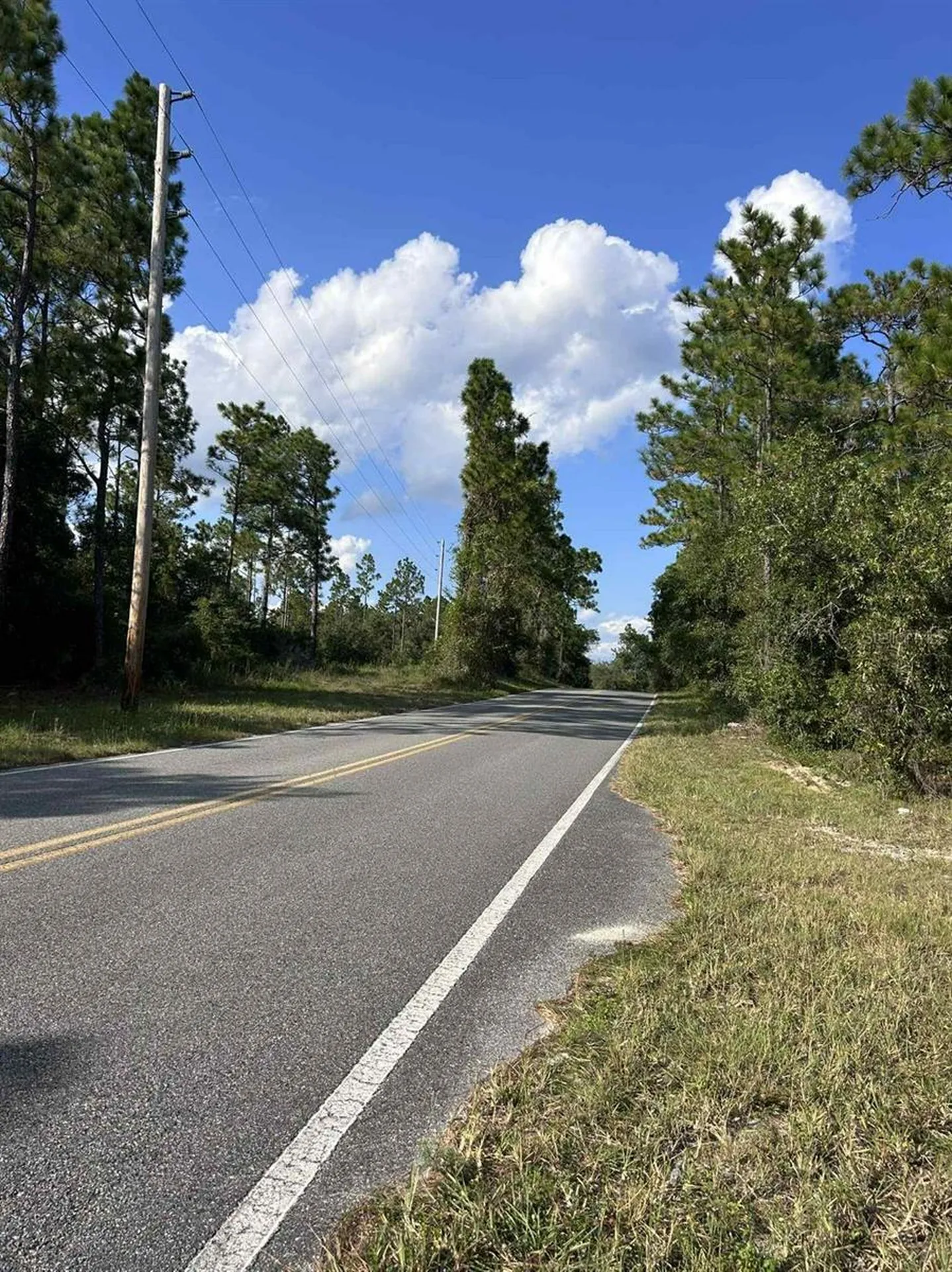 103 Lee Drive Hawthorne FL 32640