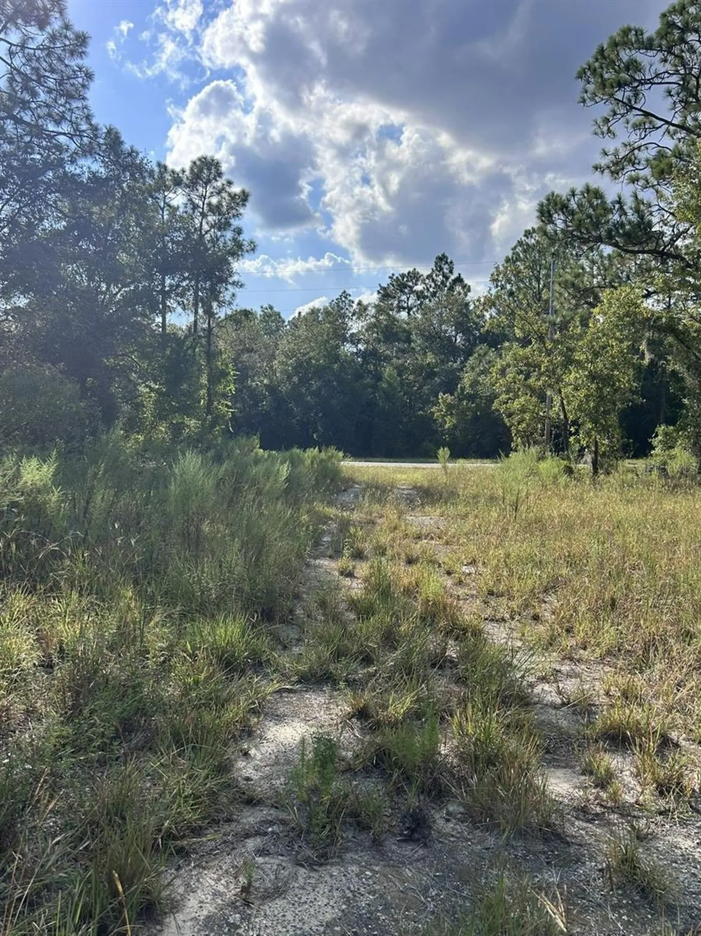 103 Lee Drive Hawthorne FL 32640