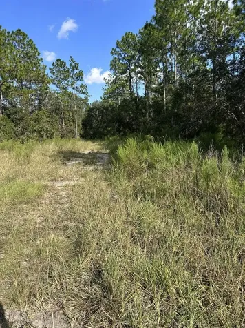 103 Lee Drive Hawthorne FL 32640