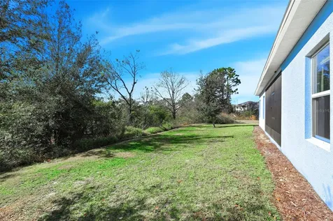 575 Avila Place Howey In The Hills FL 34737