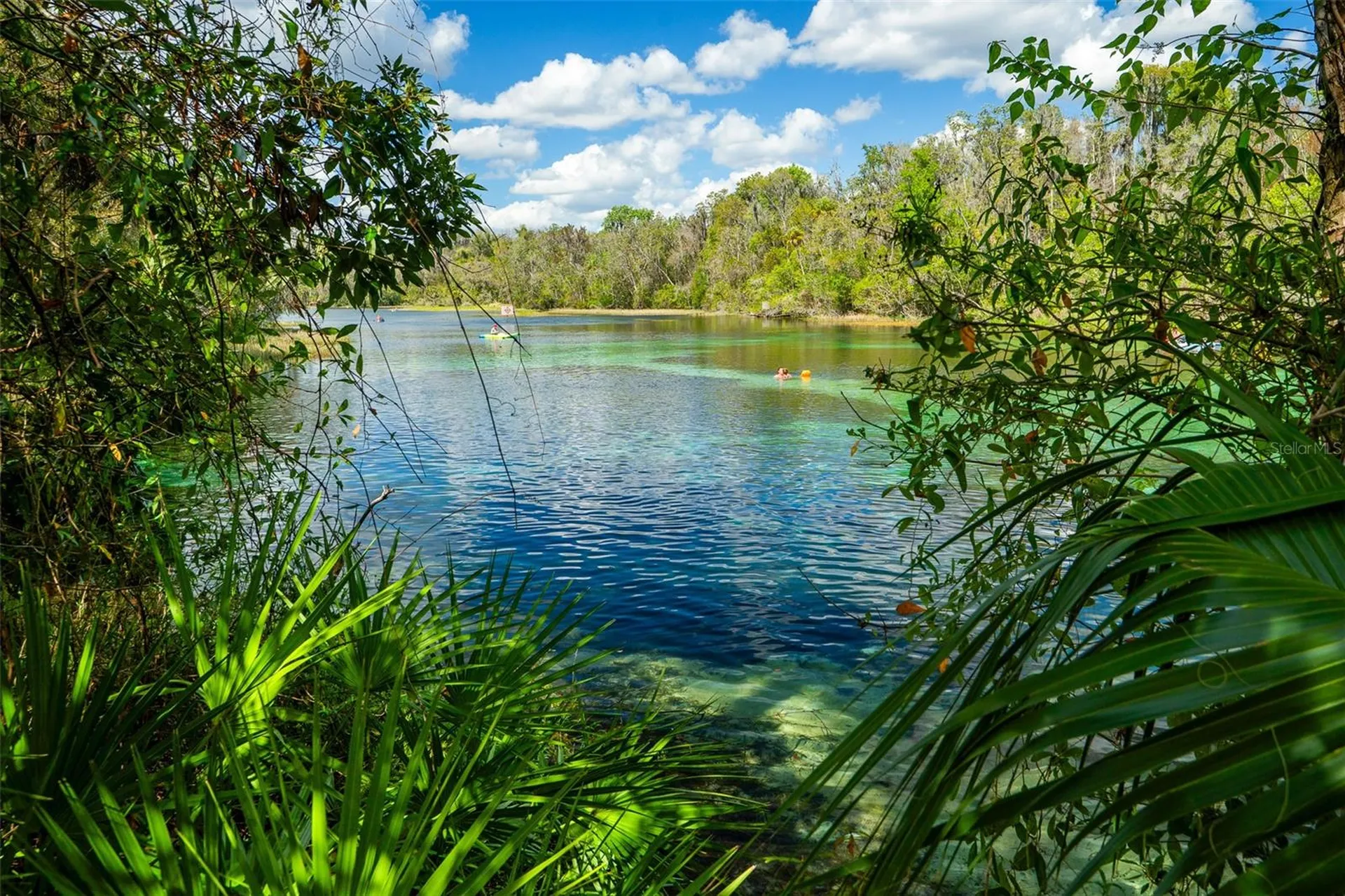 19735 SW 77th Loop Dunnellon FL 34432