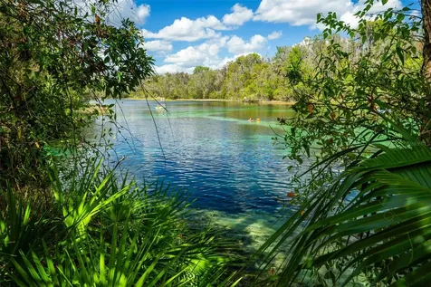 19735 SW 77th Loop Dunnellon FL 34432