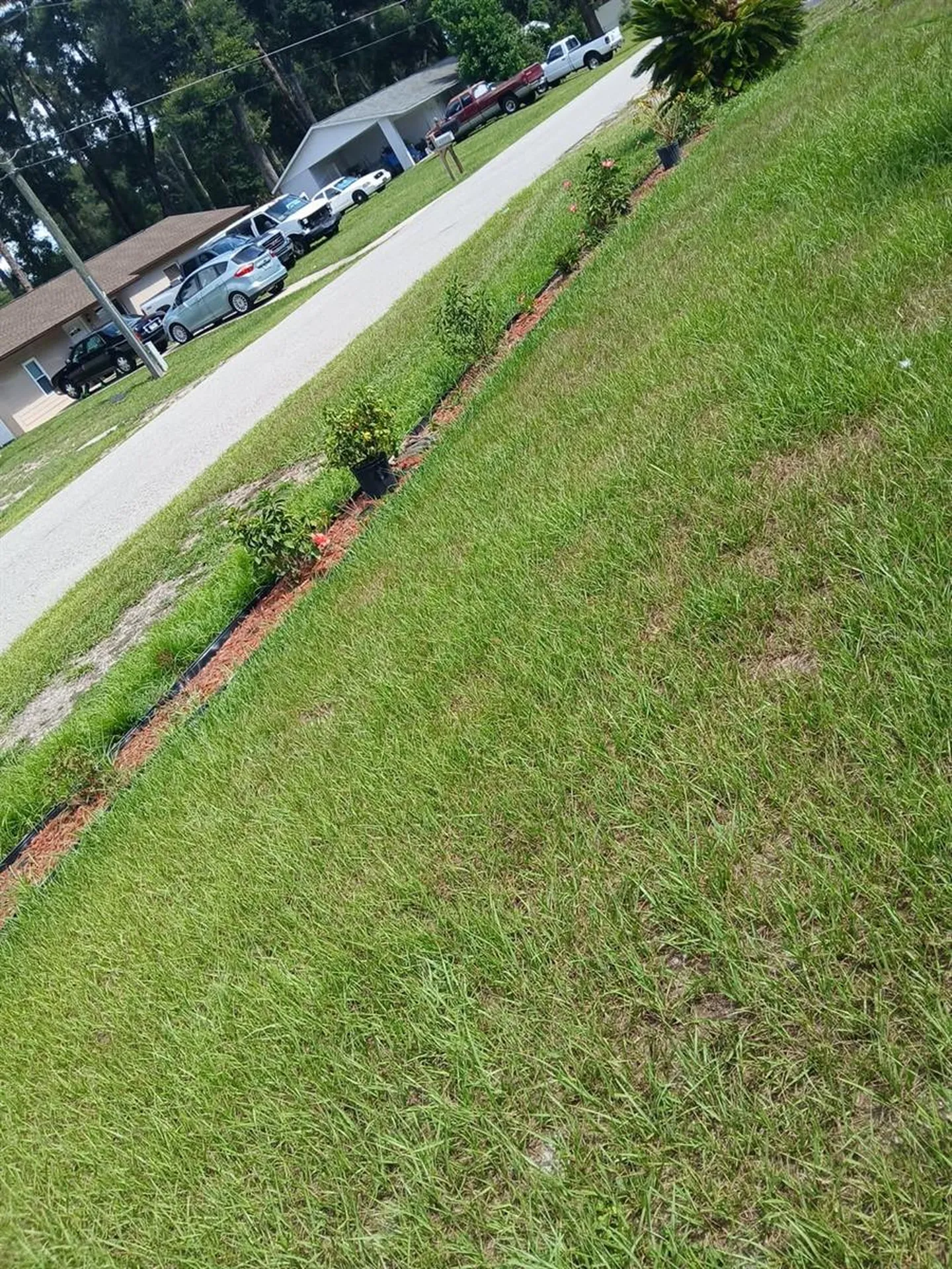 14342 SE 45th Court Summerfield FL 34491