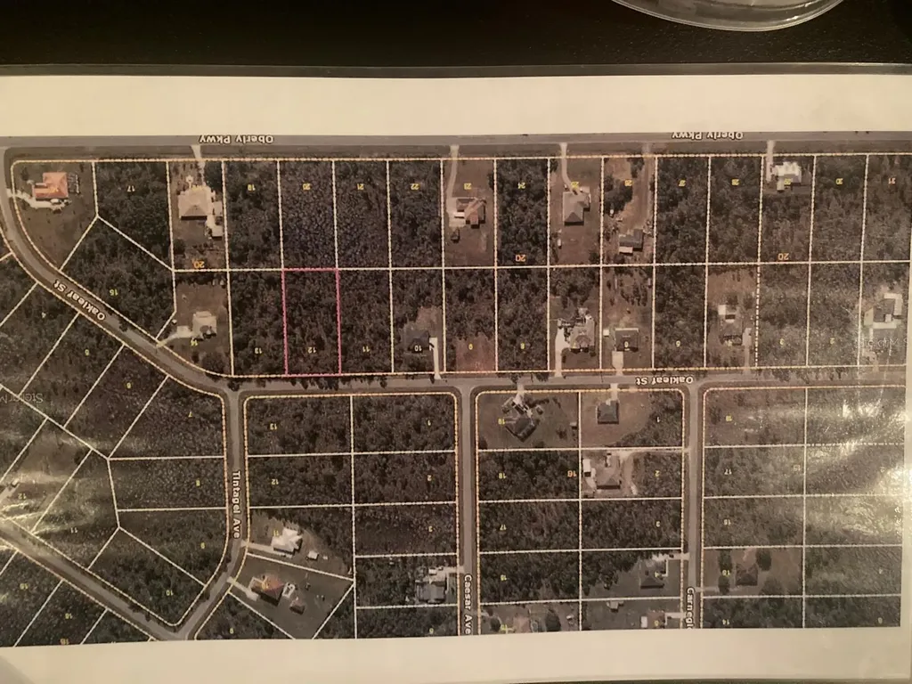 Oakleaf Street Orlando FL 32833