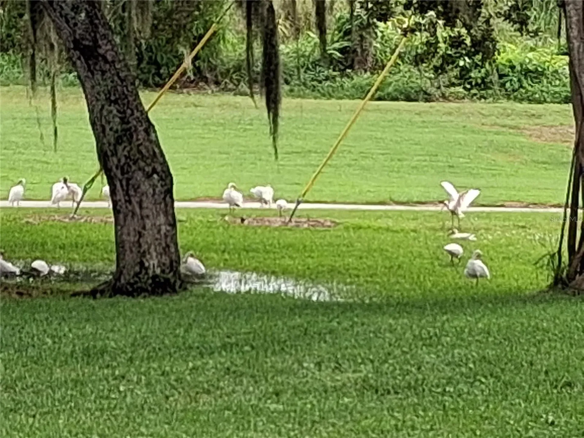 7 Vista Gardens Trail Vero Beach FL 32962