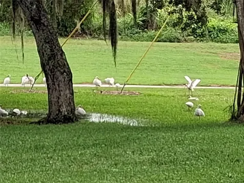 7 Vista Gardens Trail Vero Beach FL 32962