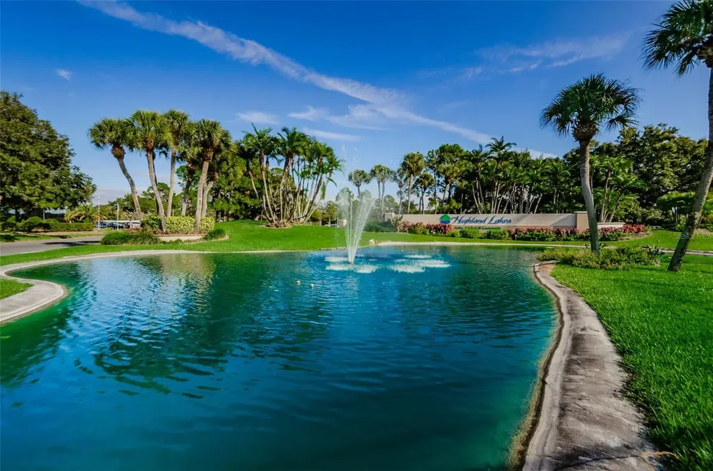 1563 Wicklow Drive Palm Harbor FL 34684