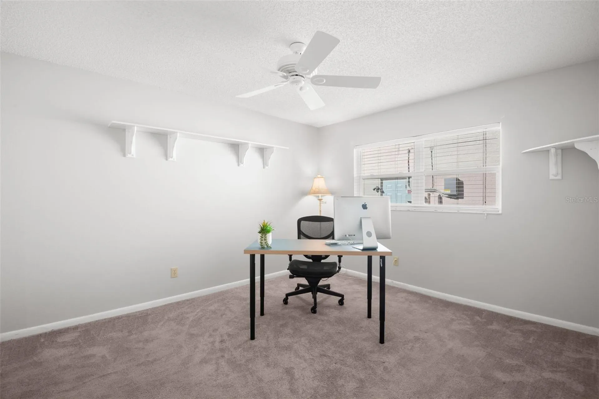 1563 Wicklow Drive Palm Harbor FL 34684