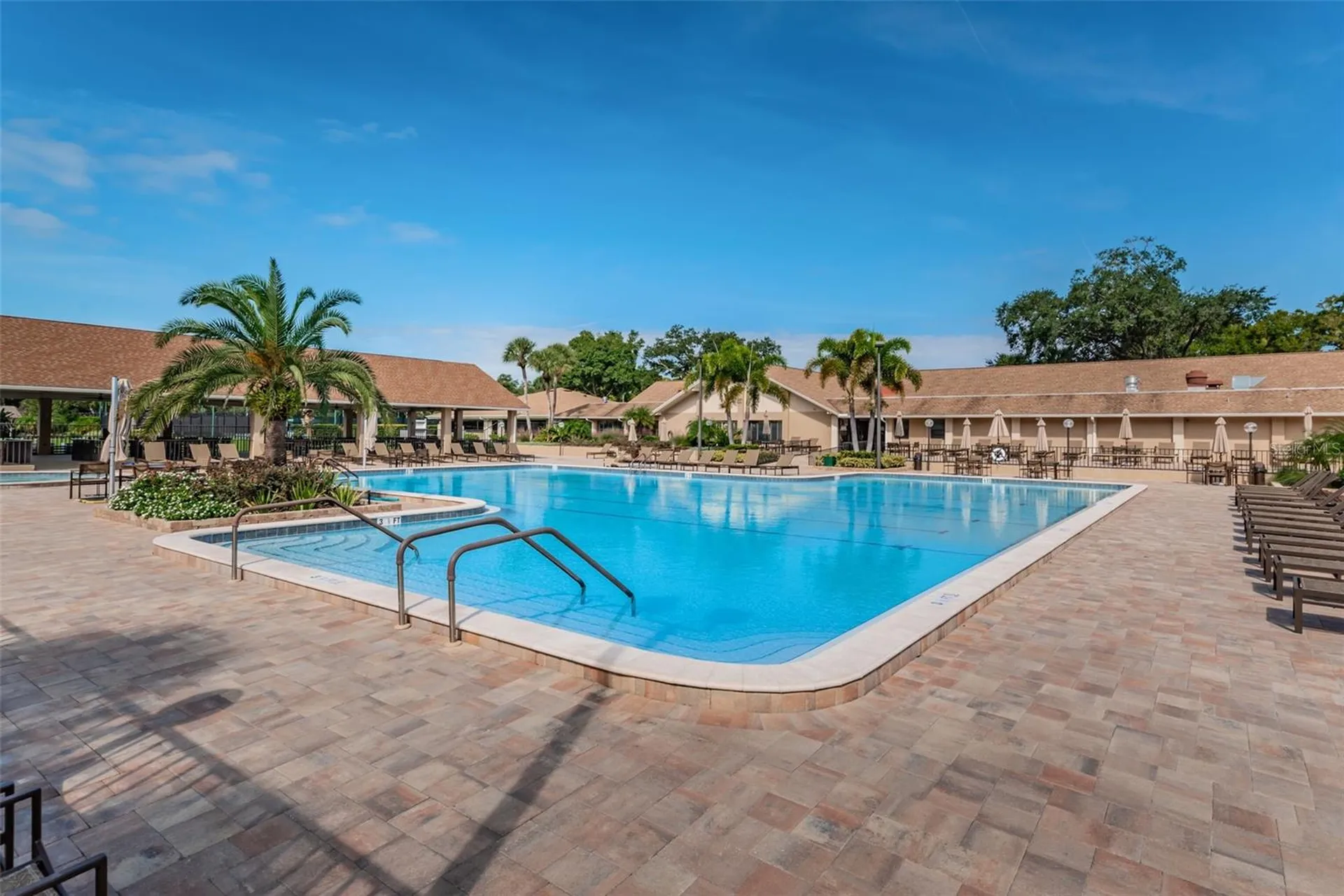 1563 Wicklow Drive Palm Harbor FL 34684