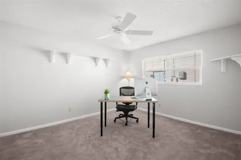 1563 Wicklow Drive Palm Harbor FL 34684