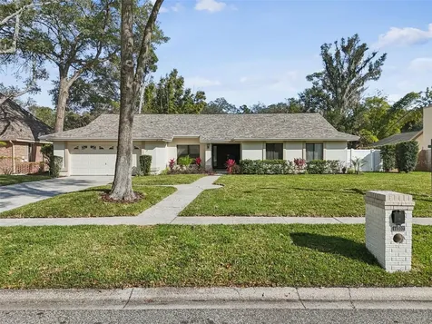 11507 Moffat Place Temple Terrace FL 33617