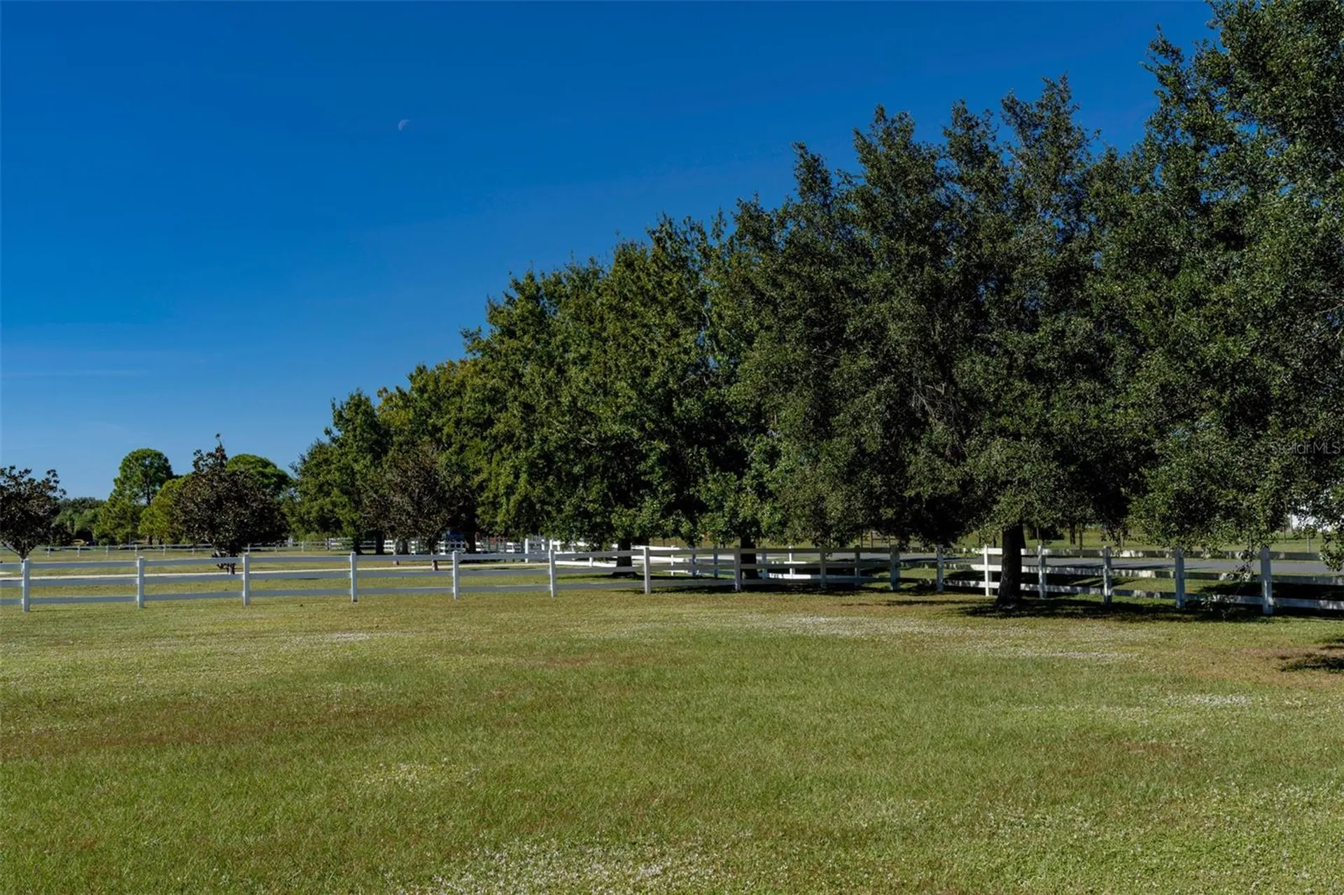 2780 Vickie Court Kissimmee FL 34744