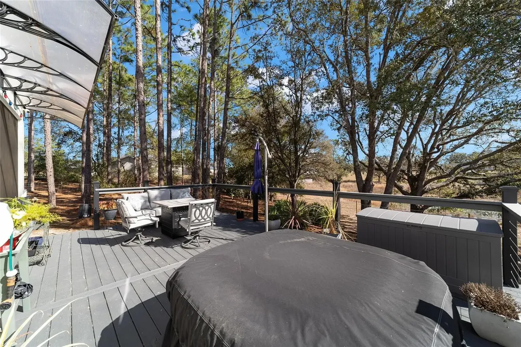 6 Malauka Circle Ocklawaha FL 32179