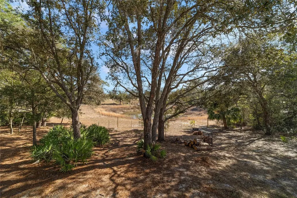 6 Malauka Circle Ocklawaha FL 32179