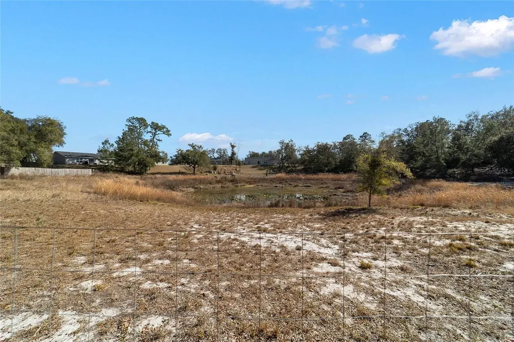 6 Malauka Circle Ocklawaha FL 32179