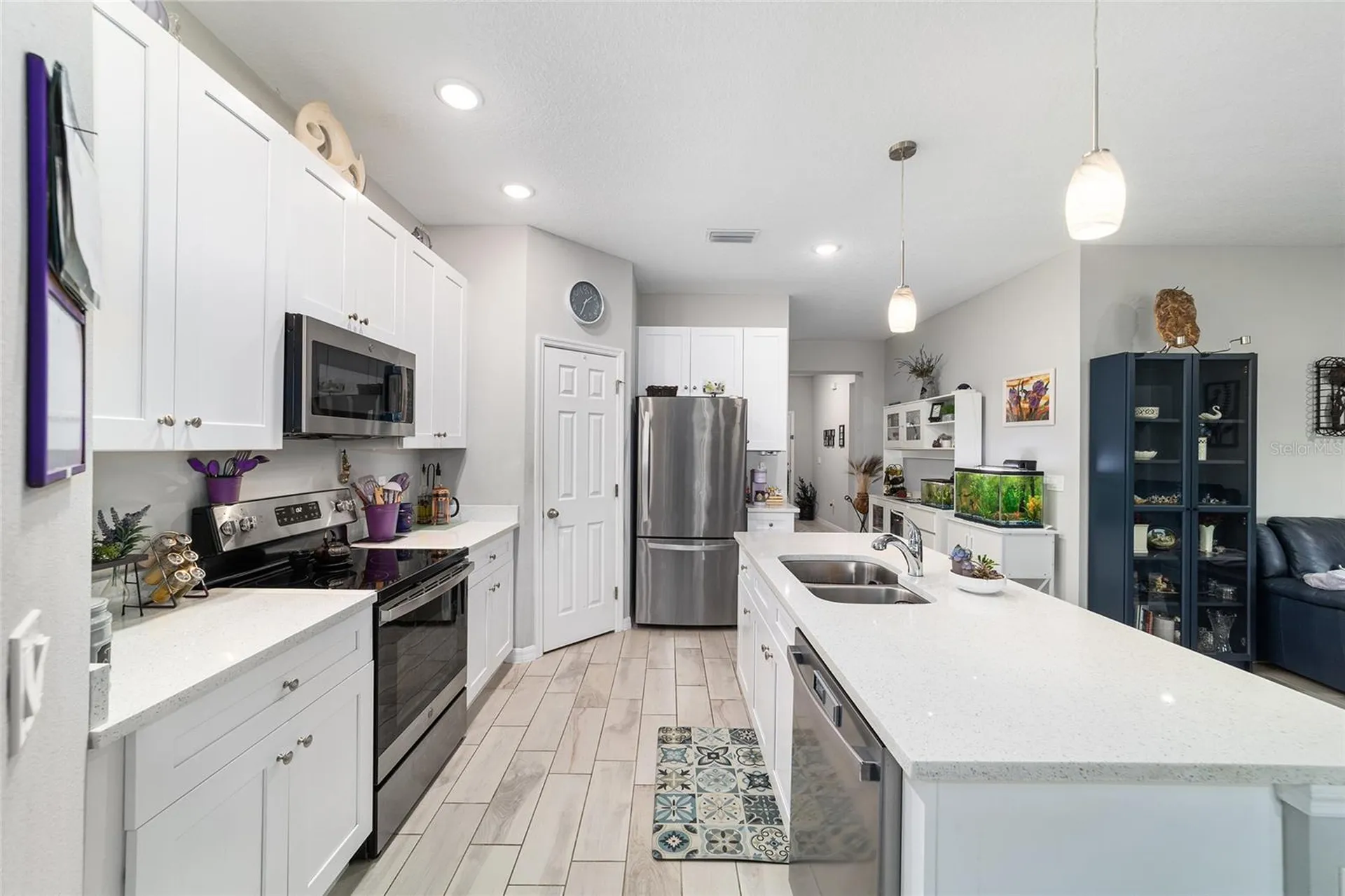 6 Malauka Circle Ocklawaha FL 32179