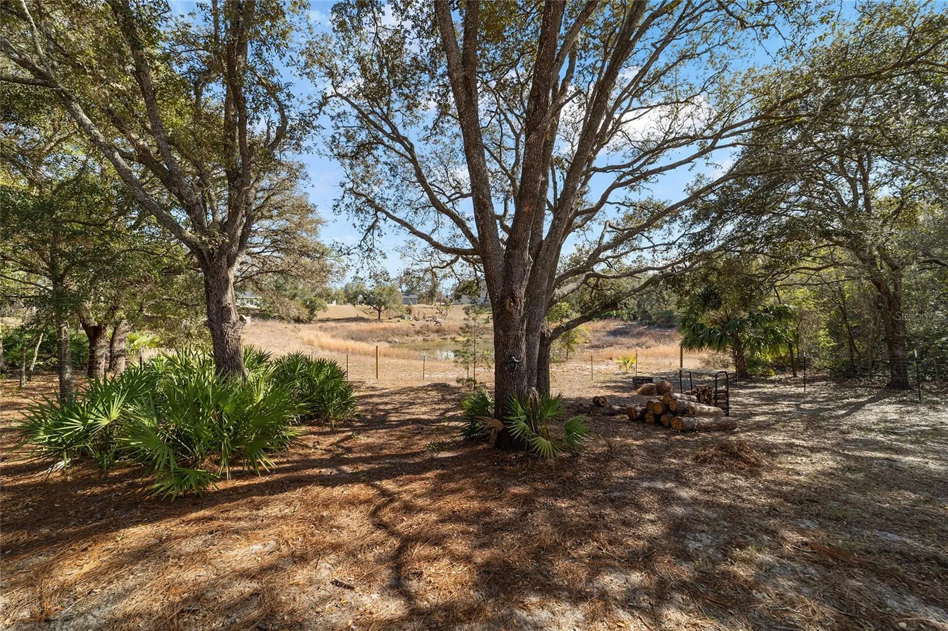 6 Malauka Circle Ocklawaha FL 32179