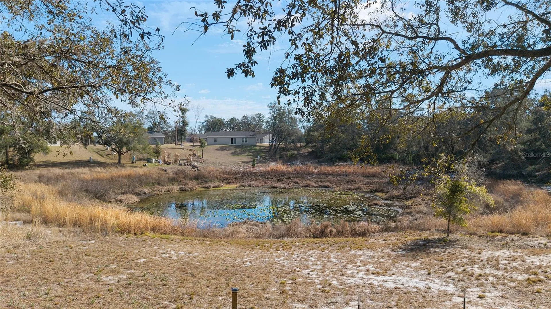6 Malauka Circle Ocklawaha FL 32179