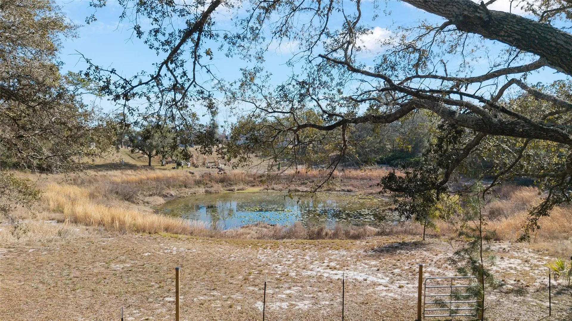 6 Malauka Circle Ocklawaha FL 32179