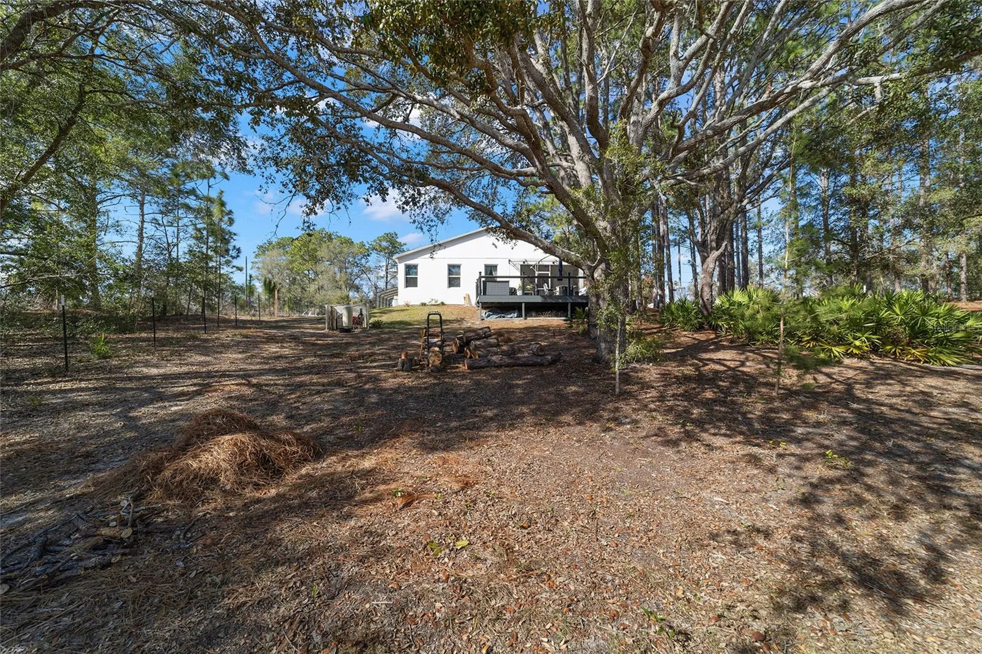 6 Malauka Circle Ocklawaha FL 32179