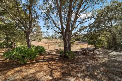 6 Malauka Circle Ocklawaha FL 32179