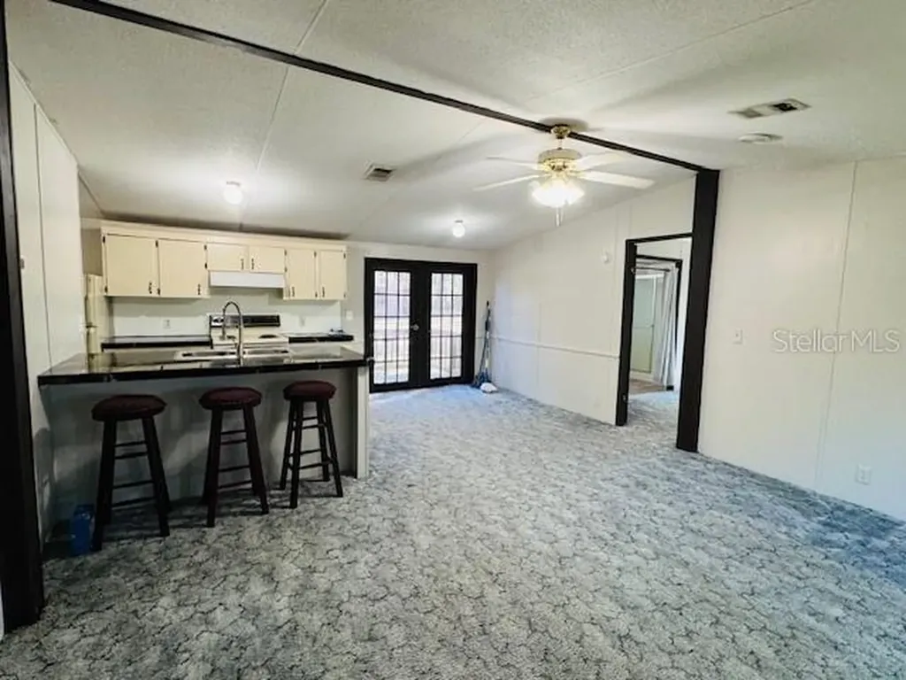 15050 NE 113th Court Fort Mc Coy FL 32134