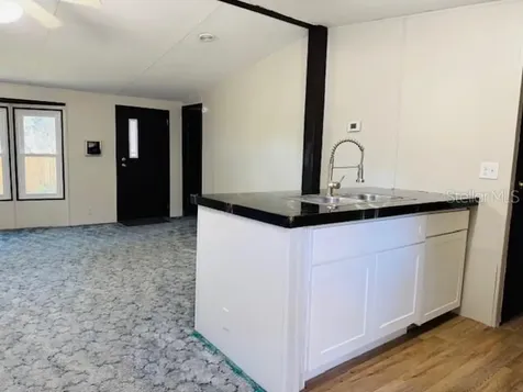 15050 NE 113th Court Fort Mc Coy FL 32134