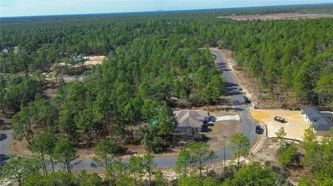 4239 W Dorchester Circle Dunnellon FL 34433
