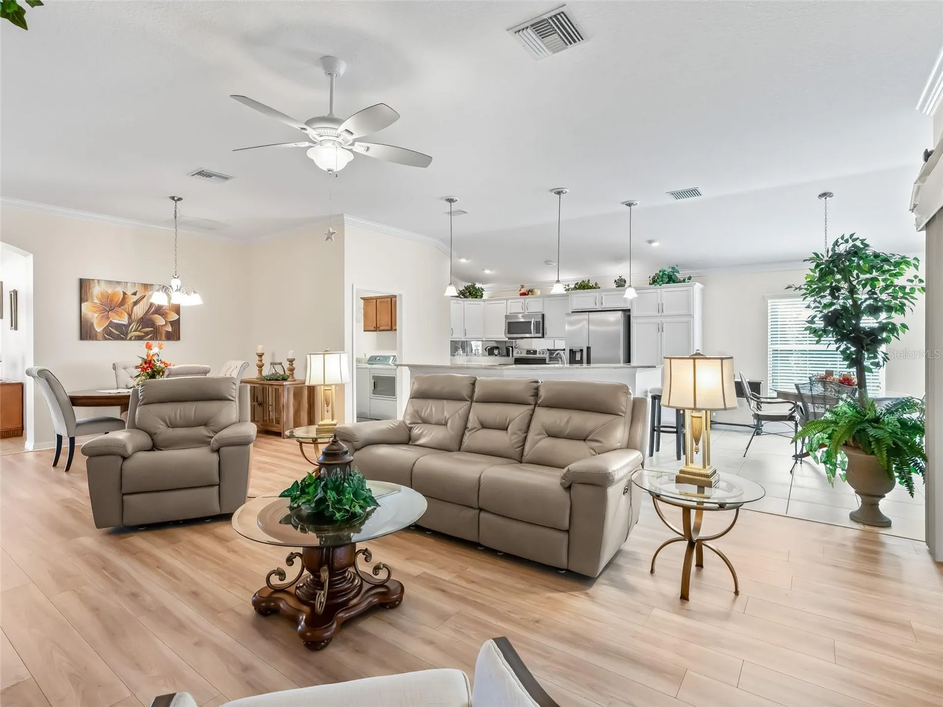 1967 Flowersville Place The Villages FL 32163